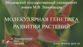 Постер курса